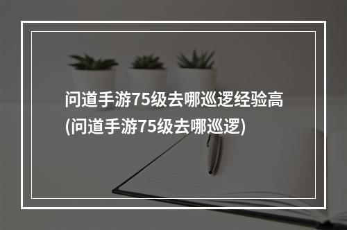 问道手游75级去哪巡逻经验高(问道手游75级去哪巡逻)