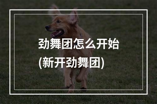 劲舞团怎么开始(新开劲舞团)