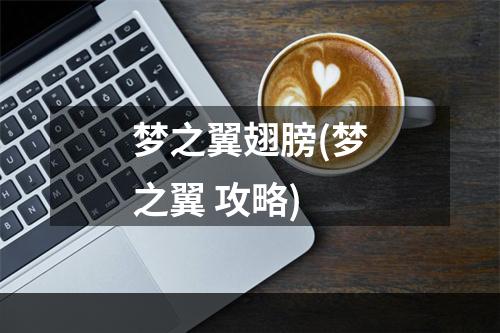 梦之翼翅膀(梦之翼 攻略)