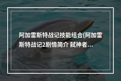 阿加雷斯特战记技能组合(阿加雷斯特战记2剧情简介 弑神者的救世之旅)