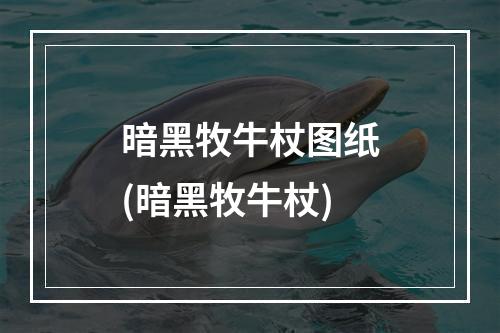 暗黑牧牛杖图纸(暗黑牧牛杖)