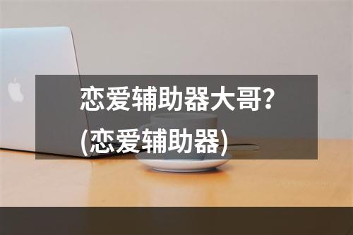 恋爱辅助器大哥？(恋爱辅助器)