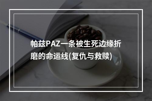 帕兹PAZ一条被生死边缘折磨的命运线(复仇与救赎)