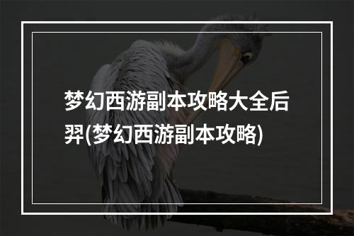 梦幻西游副本攻略大全后羿(梦幻西游副本攻略)