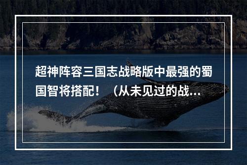 超神阵容三国志战略版中最强的蜀国智将搭配！（从未见过的战斗力）