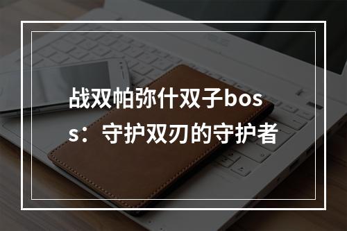 战双帕弥什双子boss：守护双刃的守护者