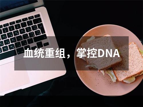 血统重组，掌控DNA