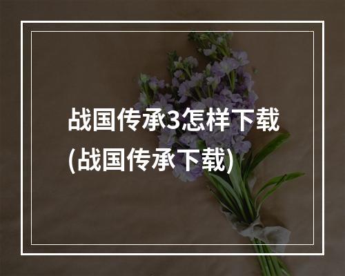 战国传承3怎样下载(战国传承下载)