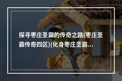 探寻枣庄圣霸的传奇之路(枣庄圣霸传奇四区)(化身枣庄圣霸 一起挑战游戏极致)