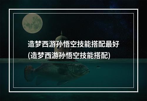 造梦西游孙悟空技能搭配最好(造梦西游孙悟空技能搭配)