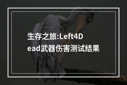 生存之旅:Left4Dead武器伤害测试结果