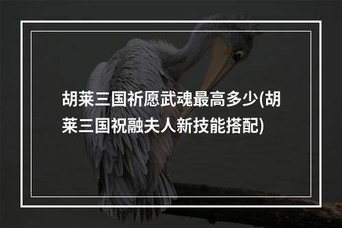 胡莱三国祈愿武魂最高多少(胡莱三国祝融夫人新技能搭配)