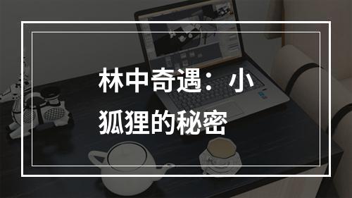 林中奇遇：小狐狸的秘密