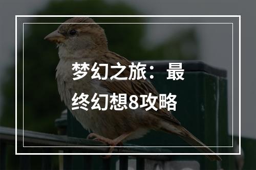 梦幻之旅：最终幻想8攻略