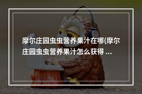 摩尔庄园虫虫营养果汁在哪(摩尔庄园虫虫营养果汁怎么获得 虫虫营养果汁获取方法一览)