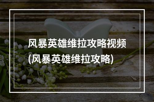 风暴英雄维拉攻略视频(风暴英雄维拉攻略)