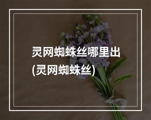 灵网蜘蛛丝哪里出(灵网蜘蛛丝)