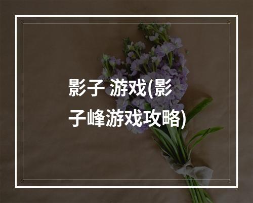 影子 游戏(影子峰游戏攻略)