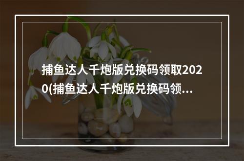 捕鱼达人千炮版兑换码领取2020(捕鱼达人千炮版兑换码领取 兑换码获得方法)