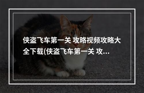 侠盗飞车第一关 攻略视频攻略大全下载(侠盗飞车第一关 攻略视频攻略大全)