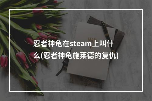 忍者神龟在steam上叫什么(忍者神龟施莱德的复仇)