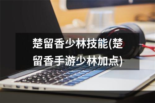 楚留香少林技能(楚留香手游少林加点)