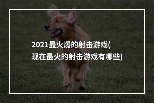 2021最火爆的射击游戏(现在最火的射击游戏有哪些)