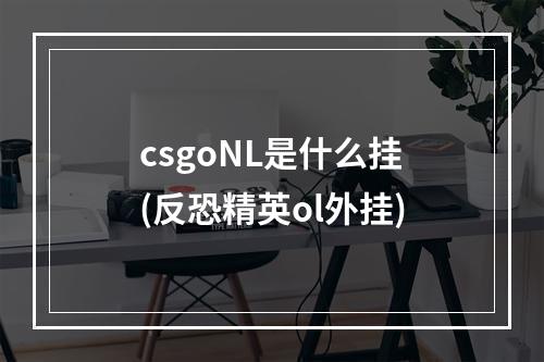 csgoNL是什么挂(反恐精英ol外挂)