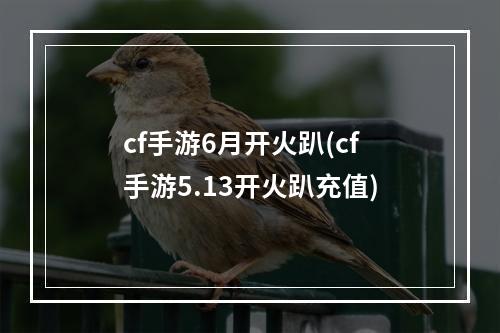 cf手游6月开火趴(cf手游5.13开火趴充值)