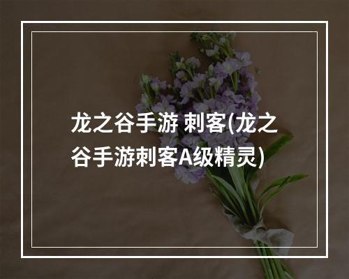 龙之谷手游 刺客(龙之谷手游刺客A级精灵)