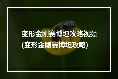 变形金刚赛博坦攻略视频(变形金刚赛博坦攻略)