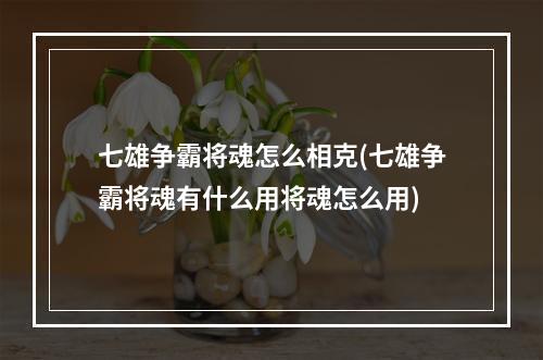 七雄争霸将魂怎么相克(七雄争霸将魂有什么用将魂怎么用)