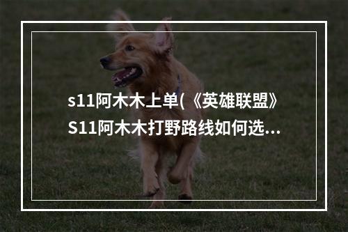 s11阿木木上单(《英雄联盟》S11阿木木打野路线如何选择 阿木木打野攻 )