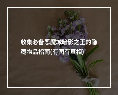 收集必备恶魔城暗影之王的隐藏物品指南(有图有真相)