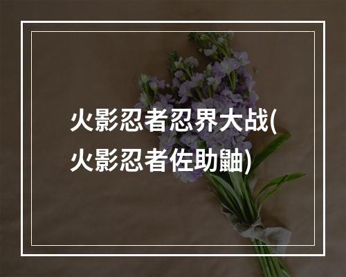 火影忍者忍界大战(火影忍者佐助鼬)