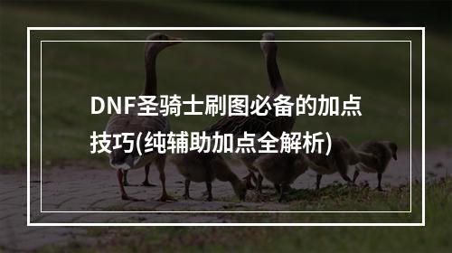 DNF圣骑士刷图必备的加点技巧(纯辅助加点全解析)