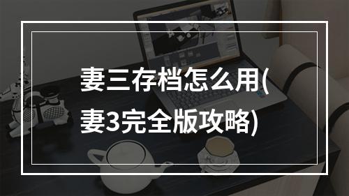 妻三存档怎么用(妻3完全版攻略)