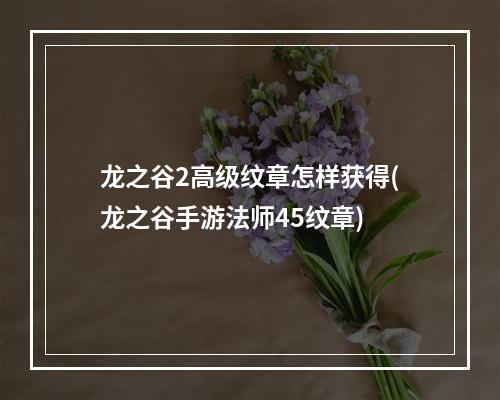 龙之谷2高级纹章怎样获得(龙之谷手游法师45纹章)