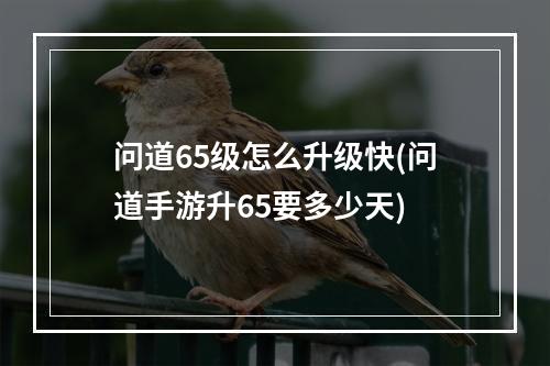 问道65级怎么升级快(问道手游升65要多少天)