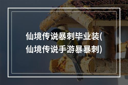 仙境传说暴刺毕业装(仙境传说手游暴暴刺)