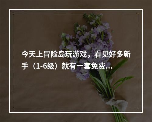 今天上冒险岛玩游戏，看见好多新手（1-6级）就有一套免费的衣服和一个VIP勋章，请问要怎么获得？(冒险岛预约礼包)