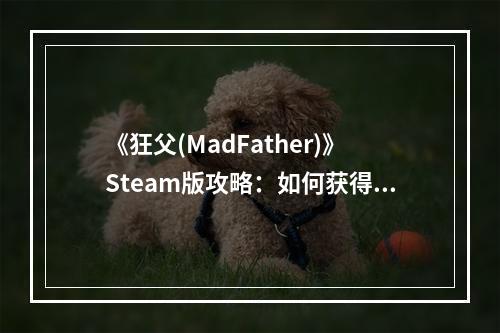 《狂父(MadFather)》Steam版攻略：如何获得全成就