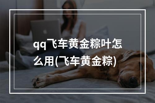 qq飞车黄金粽叶怎么用(飞车黄金粽)