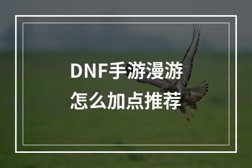 DNF手游漫游怎么加点推荐