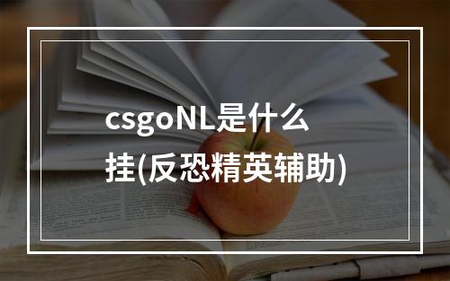 csgoNL是什么挂(反恐精英辅助)