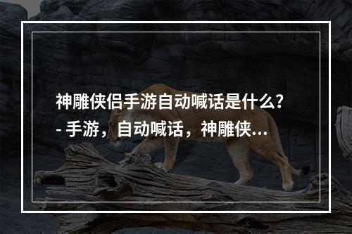 神雕侠侣手游自动喊话是什么？ - 手游，自动喊话，神雕侠侣