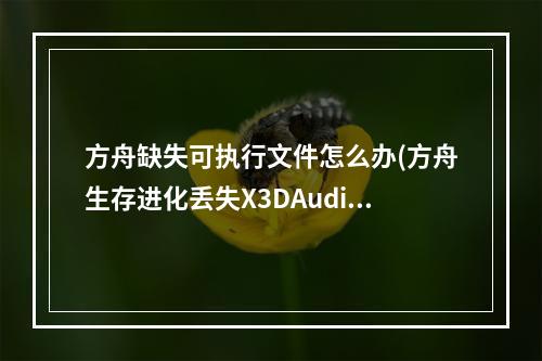 方舟缺失可执行文件怎么办(方舟生存进化丢失X3DAudio1 7.dll解决方法一览)