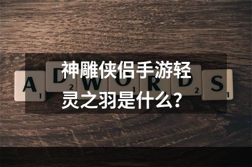 神雕侠侣手游轻灵之羽是什么？