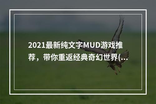 2021最新纯文字MUD游戏推荐，带你重返经典奇幻世界(别样游戏世界全靠文字)