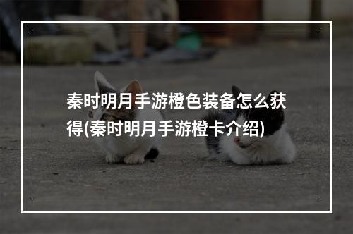 秦时明月手游橙色装备怎么获得(秦时明月手游橙卡介绍)